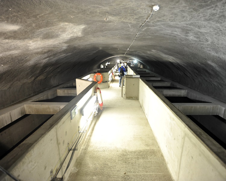 配水庫內會有氣流互通的地方,進行工程時應用隔氣物料分隔;圖為港大西區配水庫內部。資料圖片