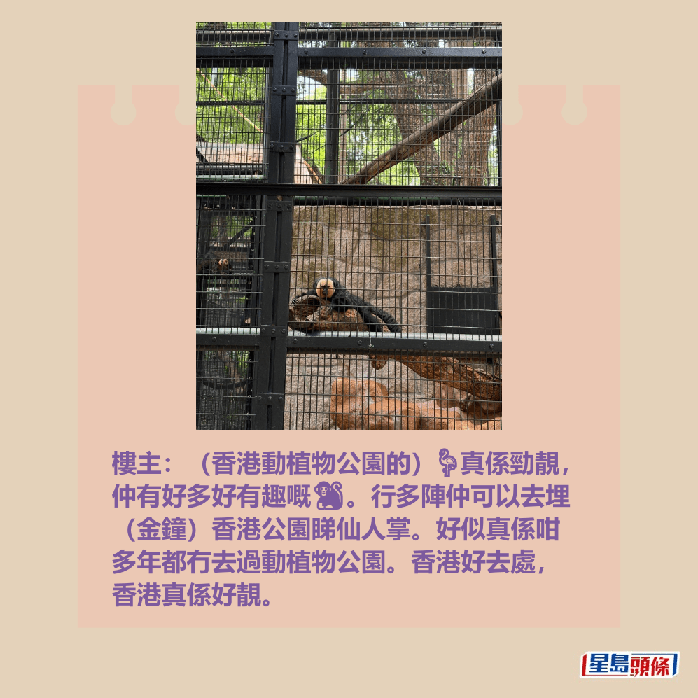 樓主:(香港動植物公園的)🦩真係勁靚, 仲有好多好有趣嘅🐒。行多陣仲可以去埋 (金鐘)香港公園睇仙人掌。好似真係咁 多年都冇去過動植物公園。香港好去處, 香港真係好靚。Threads截圖 樓主:(香港動植物公園的)🦩真係勁靚, 仲有好多好有趣嘅🐒。行多陣仲可以去埋 (金鐘)香港公園睇仙人掌。好似真係咁 多年都冇去過動植物公園。香港好去處, 香港真係好靚。Threads截圖