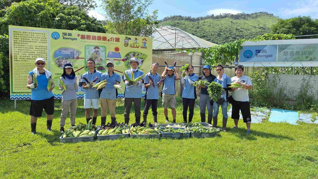 参与「慈善农耕乐」的员工每周六都会到位于元朗的慈善农庄耕种，体验田园生活。(煤气公司提供)