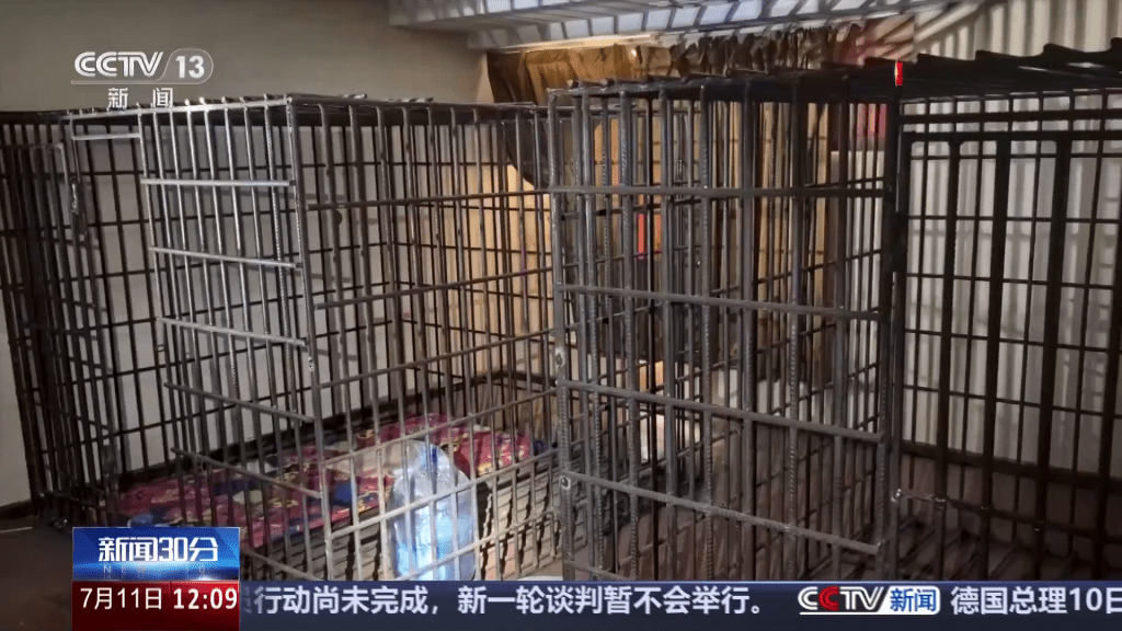 關鐵籠、剁手指、強迫賣淫，電騙回流人員講述噩夢。 央視截圖