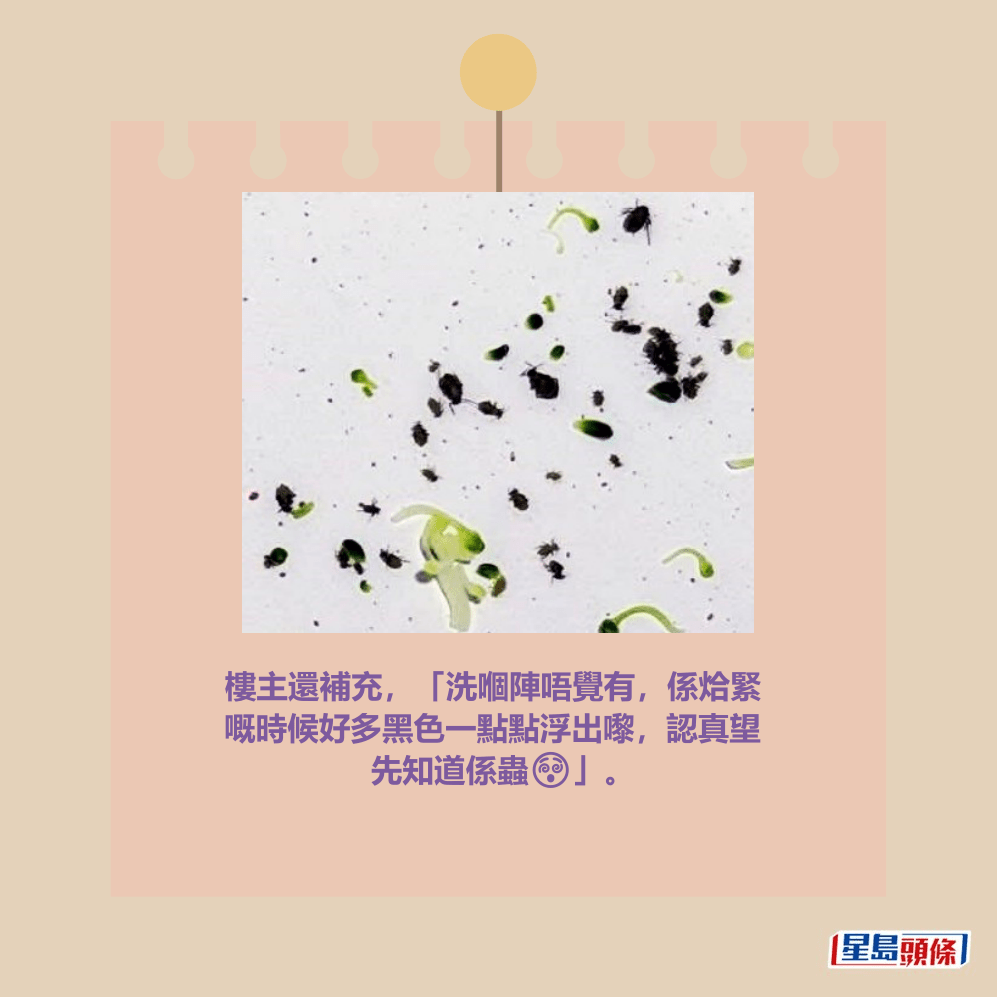 Threads截圖（資料來源：cookaa.ss＠Threads）