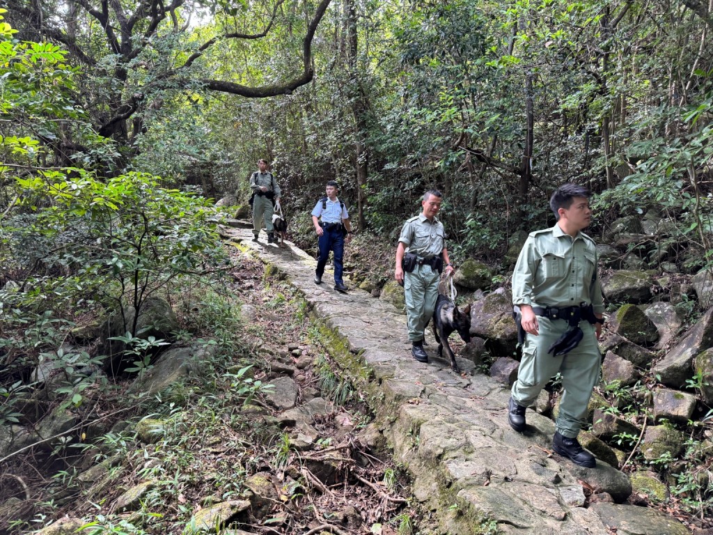 人員搜查山上隱蔽位置及竊匪可能匿藏的地方。