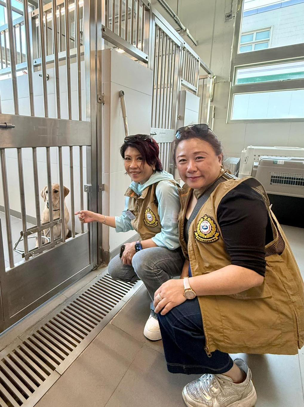 海關今日帶領香港工商品牌保護陣綫成員，前往世界海關組織地區犬隻訓練中心，觀看搜查犬訓練情況。香港海關fb圖片