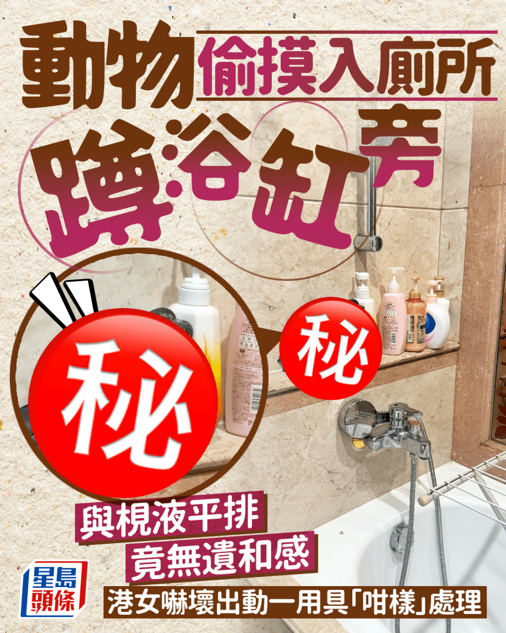動物偷摸入廁所 「扮」洗頭水竟無遺和感 港女嚇壞出動一用具「咁樣」處理 動物偷摸入廁所 「扮」洗頭水竟無遺和感 港女嚇壞出動一用具「咁樣」處理