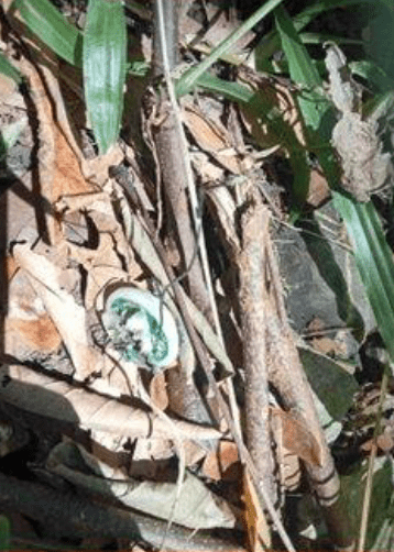 泰國警方在現場調查。Facebook@Drama-addict 泰國警方在現場調查。Facebook@Drama-addict