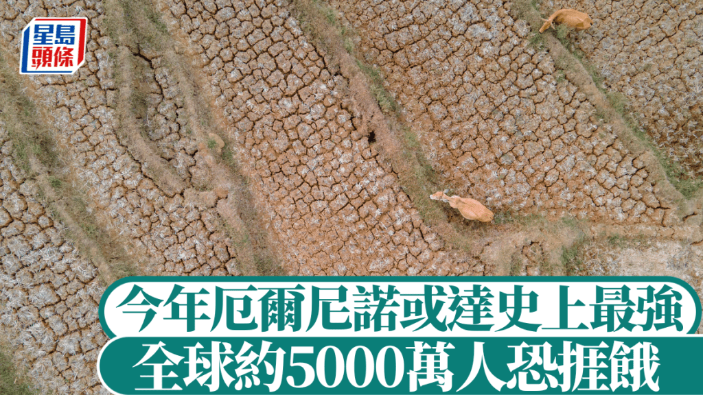 今年厄爾尼諾破壞或達史上最強，全球或有5千萬人捱餓。法新社