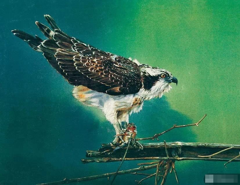 内地画家刘筱青作品。