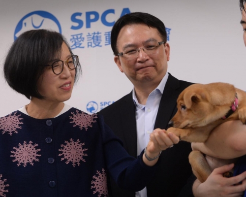 被問及修例未涵蓋漁護署人道毀滅問題,陳肇始回應指,漁護署有既定的機制。