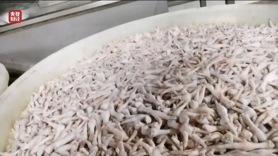 内地黑心凤爪以双氧水漂白,厂房虫鼠横行,工人自己不敢吃。 内地黑心凤爪以双氧水漂白,厂房虫鼠横行,工人自己不敢吃。