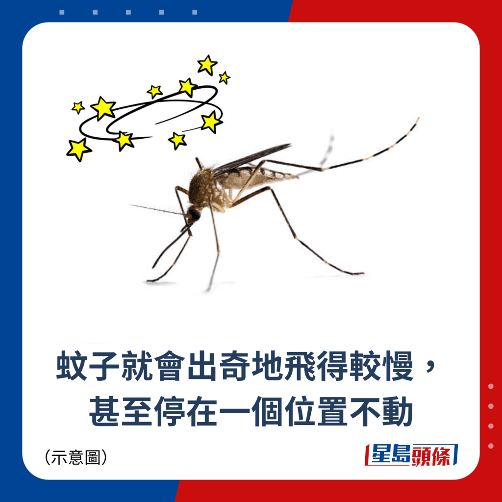 蚊子就会出奇地飞得较慢， 甚至停在一个位置不动