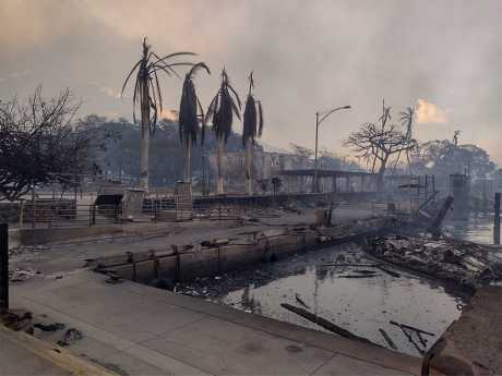 拉海纳海滨化为焦土，船只被烧焦。路透社