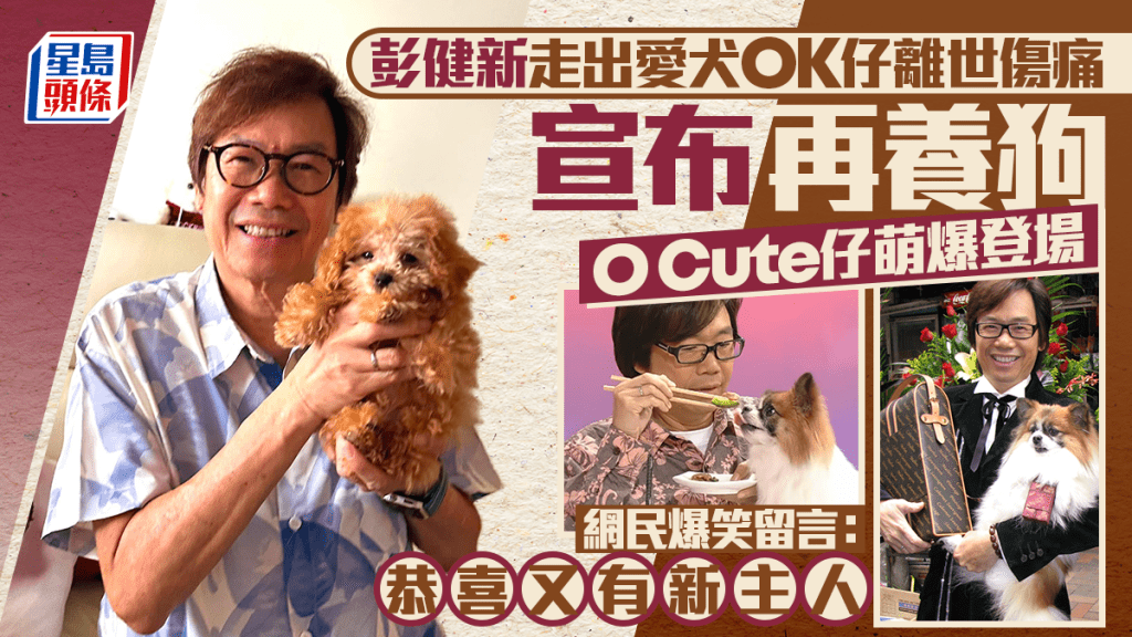 彭健新終走出OK仔離世陰霾 宣布新愛犬O Cute仔登場 網民爆笑留言：恭喜又有新主人