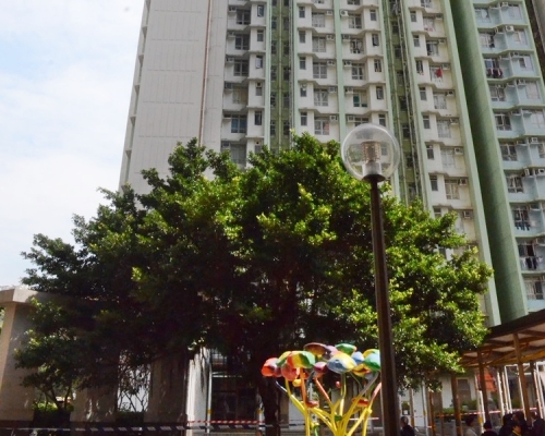 鄰居指少年性格較內向，平日甚少與人打招呼。資料圖片