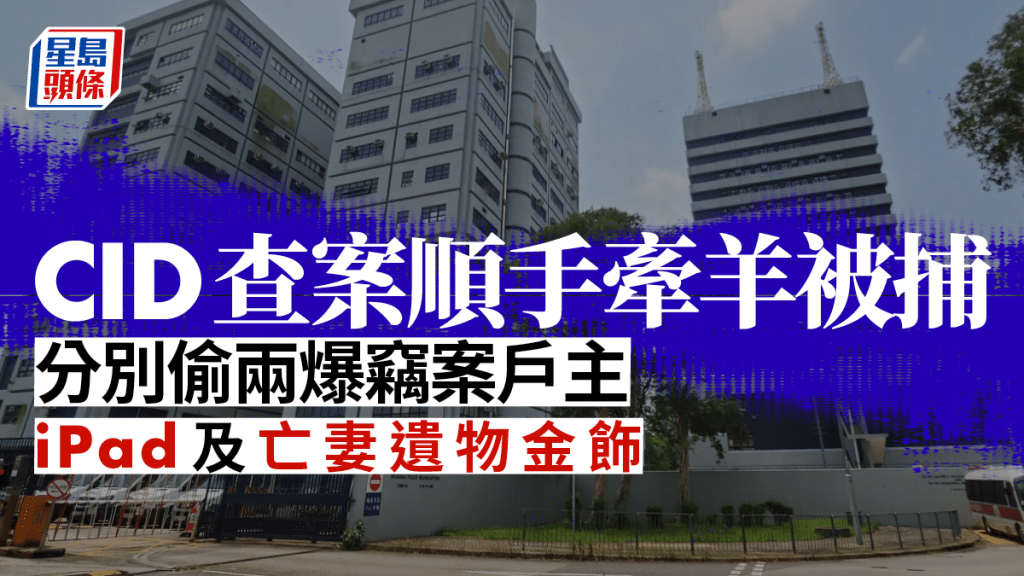 大埔一名CID探員涉查案期間監守自盜。(資料圖片)
