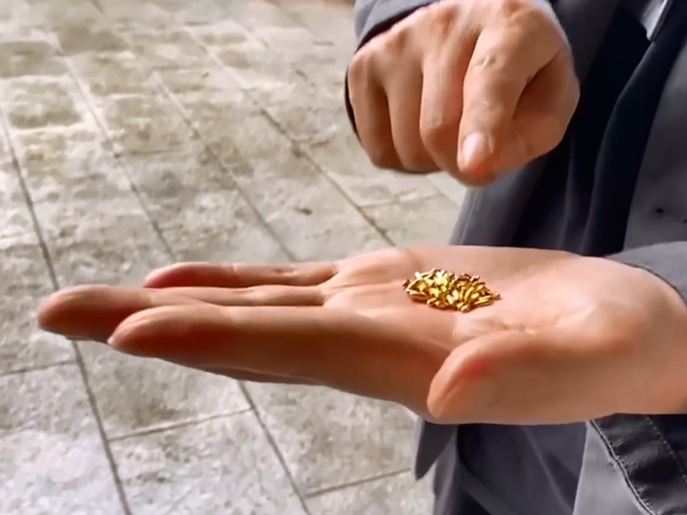 黃金大米每粒重約0.5克。影片截圖