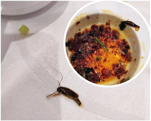 辣蟑螂颜色与辣椒油其他材料相近。fb「香港自助餐夹食集中讨论区 hk buffet group」图片