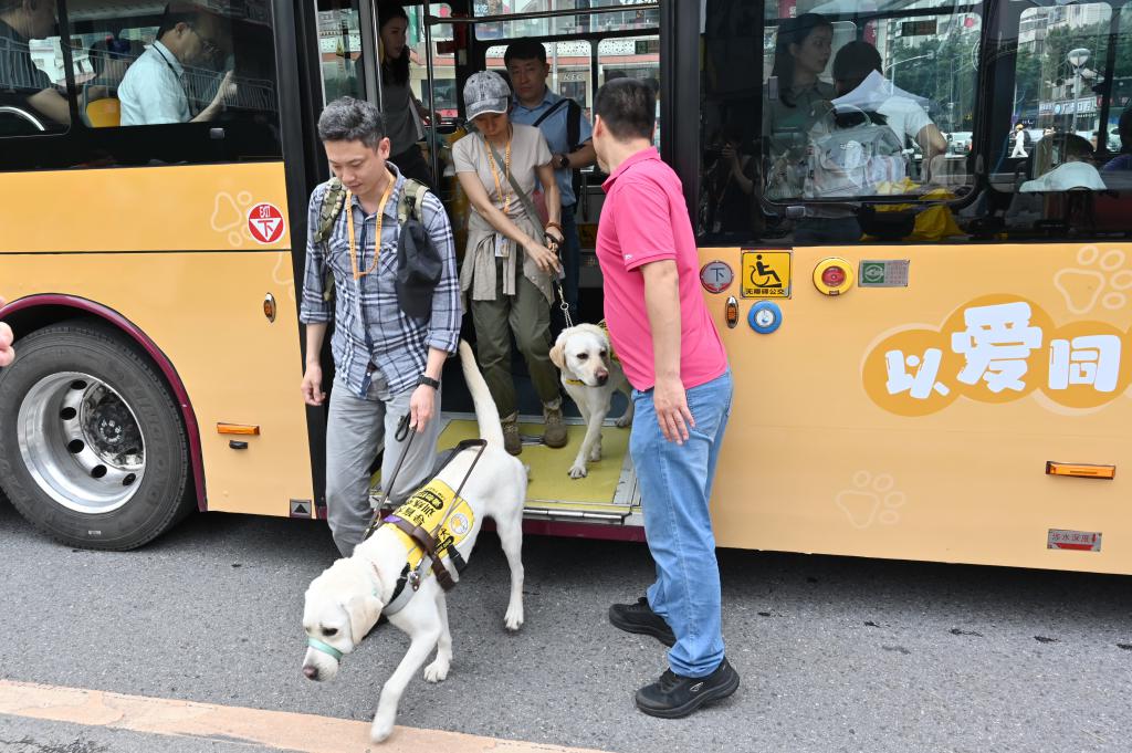 导盲犬融入社区需要各方包容，也要配合公众教育。