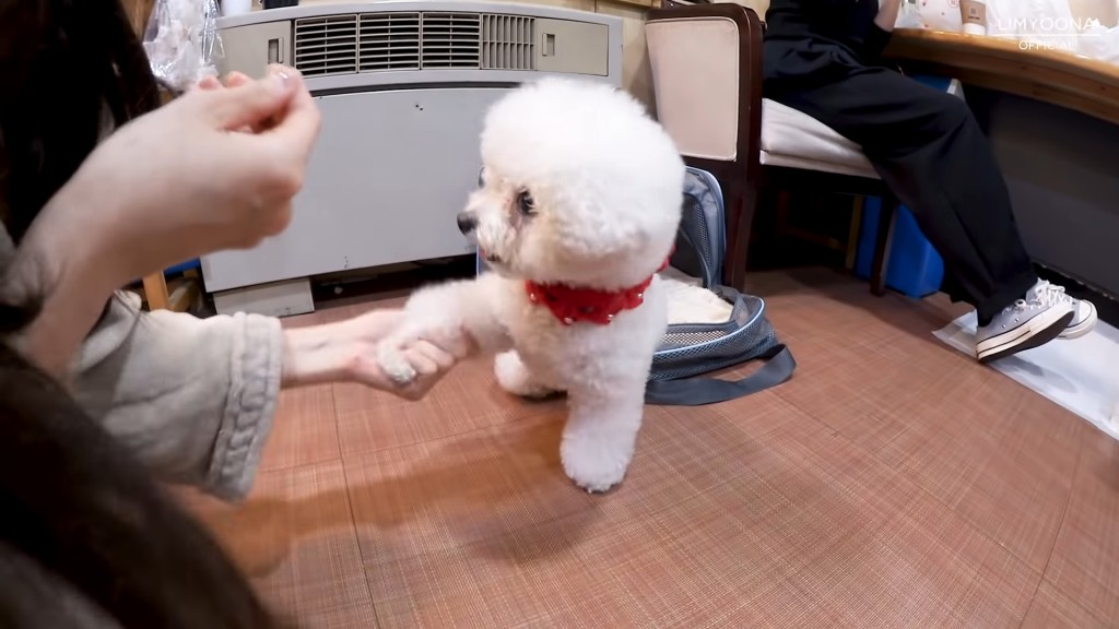 另一隻手亦得。