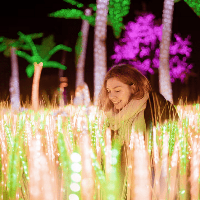 Festilumi光影幻想世界。Fever圖片 Festilumi光影幻想世界。Fever圖片