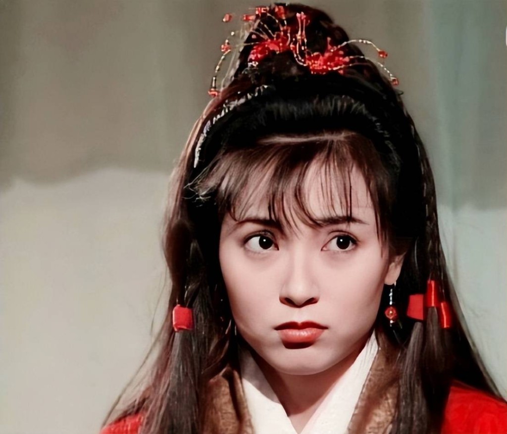 傅明憲憑1995年TVB劇《神鵰俠侶》獲得「最美郭芙」美譽。