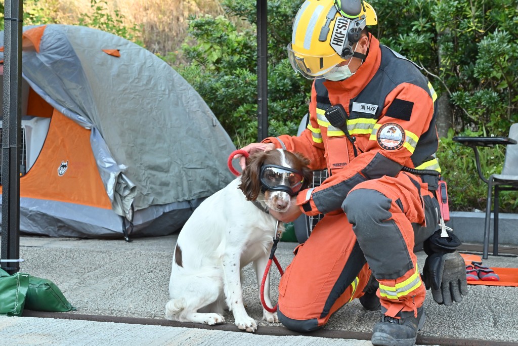 坍塌搜救專隊帶同搜救犬Twix參與操練。 黃頌偉攝