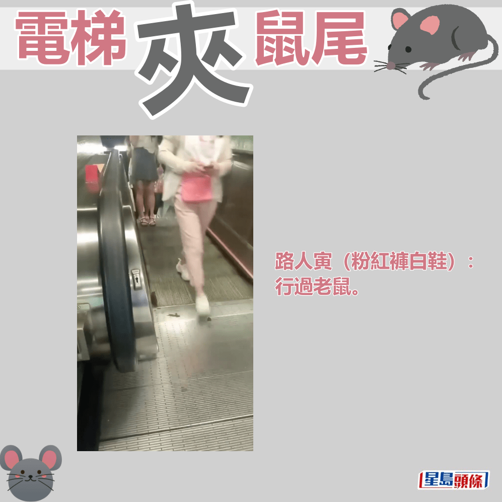 ​路人寅（粉红裤白鞋）​：行过老鼠。fb“屯门友”截图