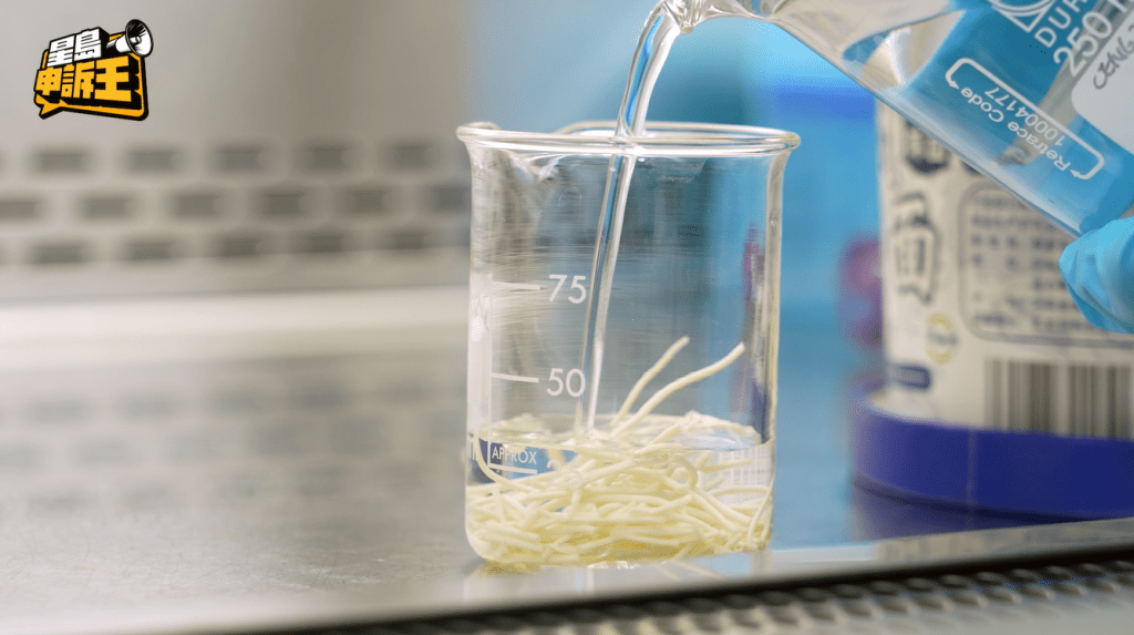 微生物實驗步驟二：加入高溫滅菌水攪拌。