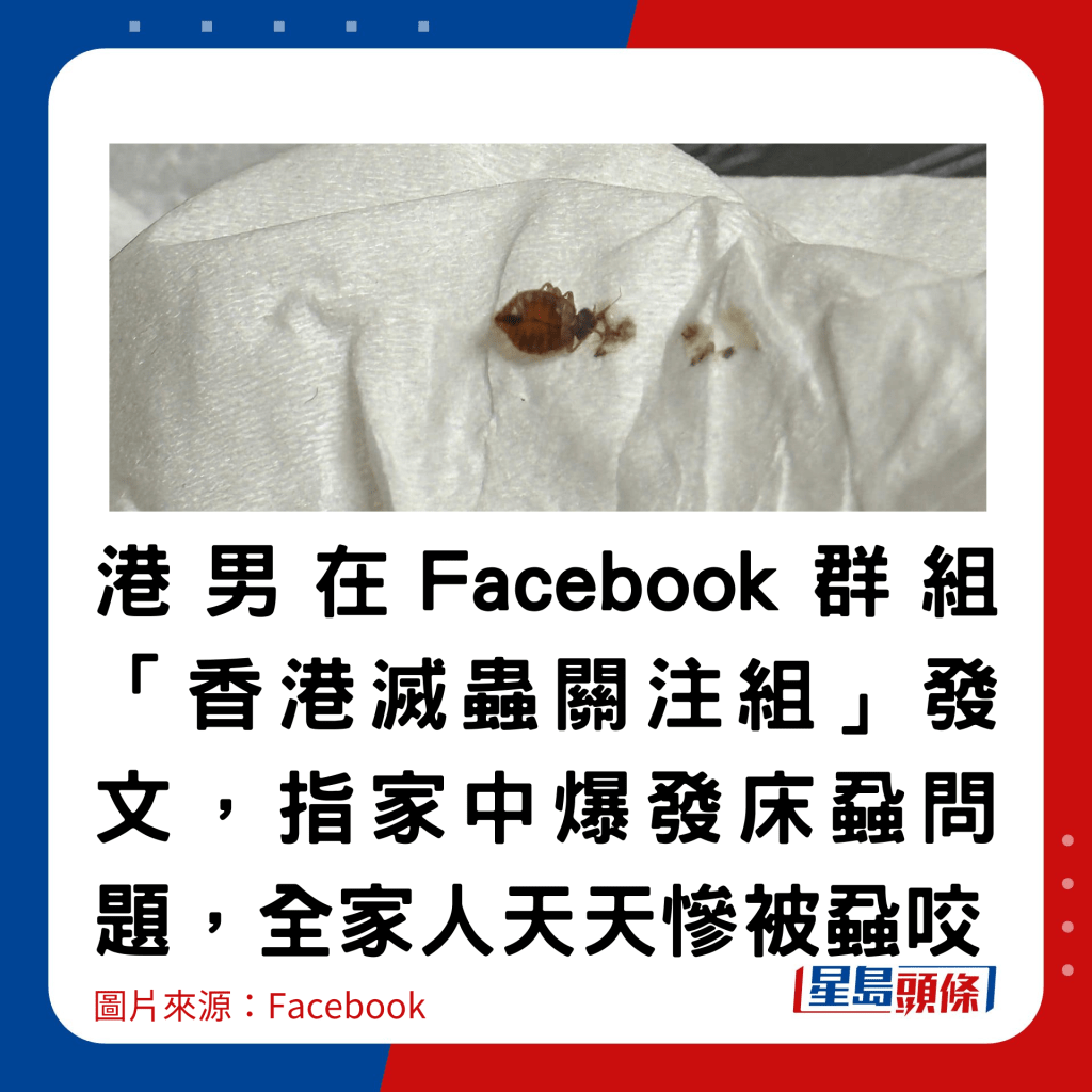 港男在Facebook群组「香港灭虫关注组」发文，指家中爆发床虱问题，全家人天天惨被虱咬