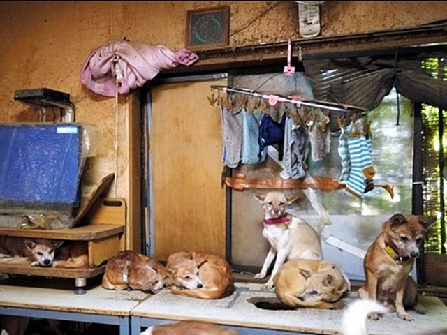 網圖