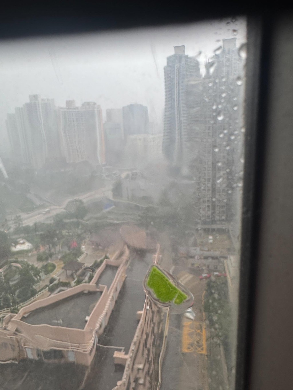 多名網民表示自己只收獲樹葉一塊。網上圖片