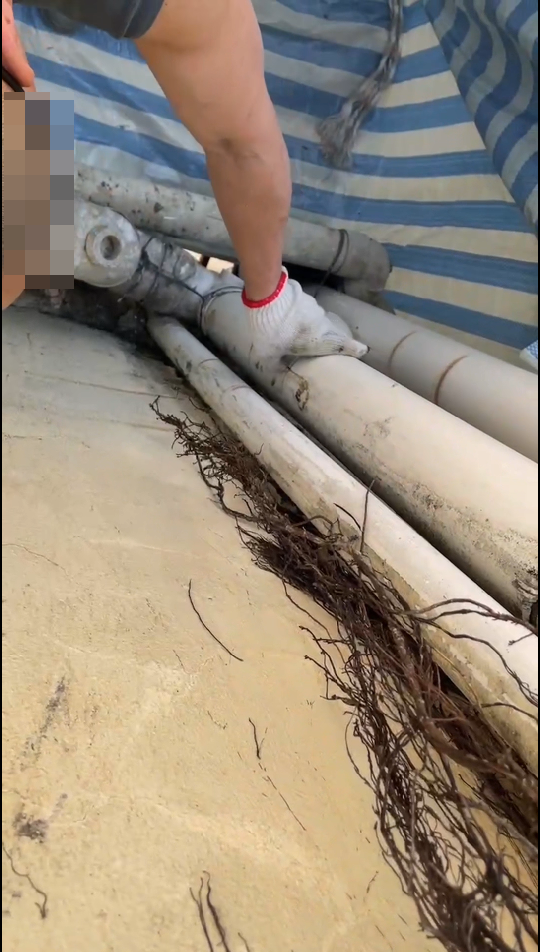 影片看到有污水喉維修工人正用工具割開渠管。