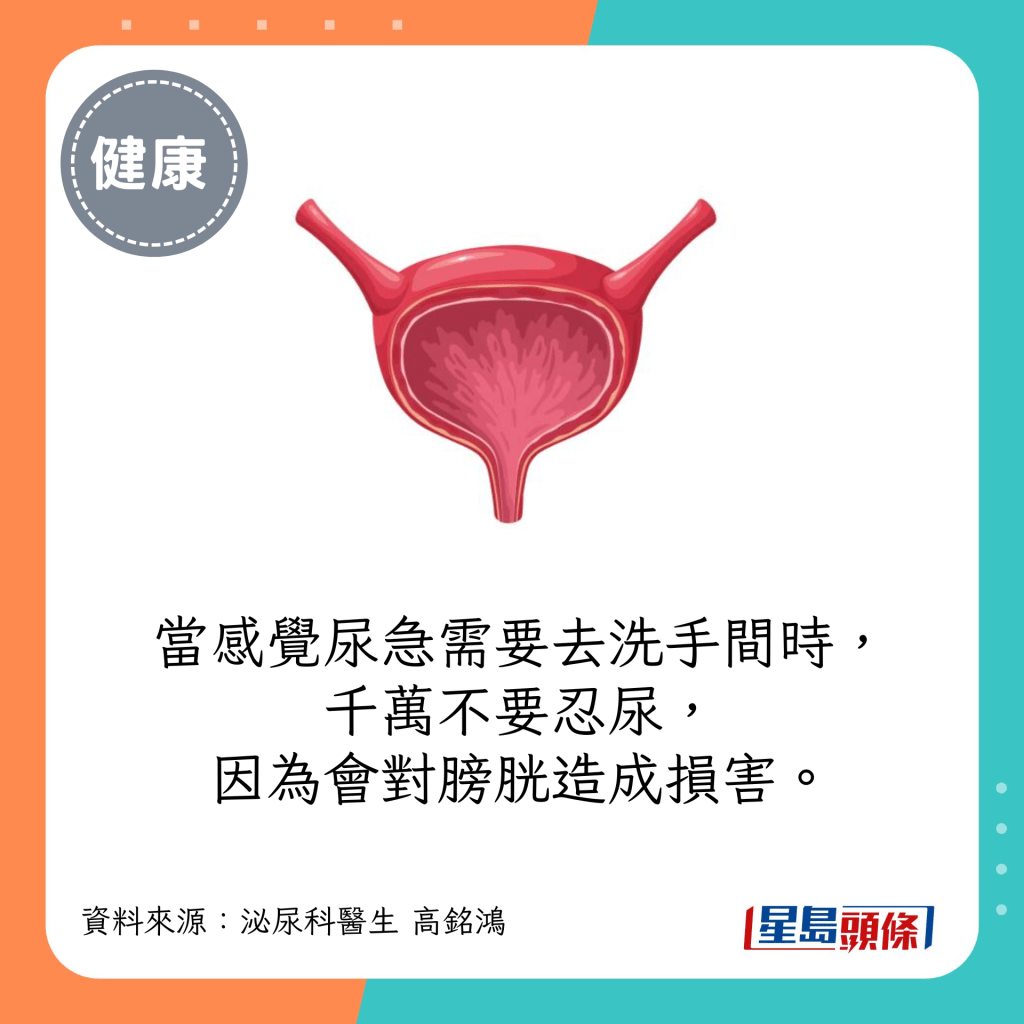 當感覺尿急需要去洗手間時，千萬不要忍尿，因為會對膀胱造成損害。