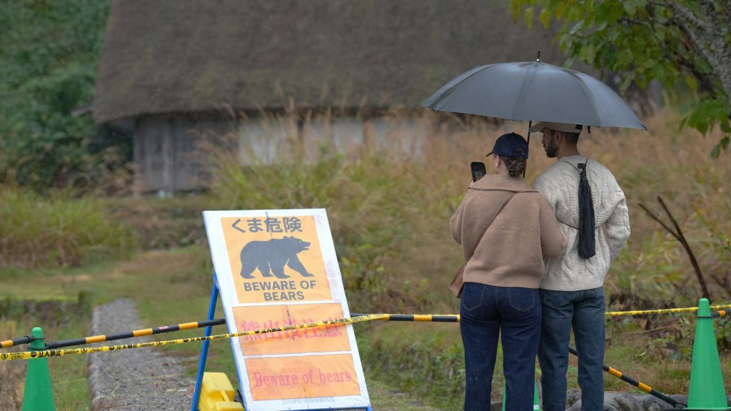 多地豎立熊出沒警告牌。美聯社 多地豎立熊出沒警告牌。美聯社
