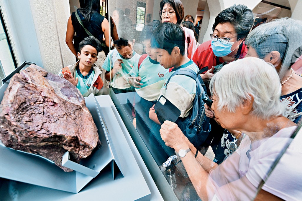 香港赤洲發現恐龍化石,並於香港文物探知館展出,成為全城熱話。