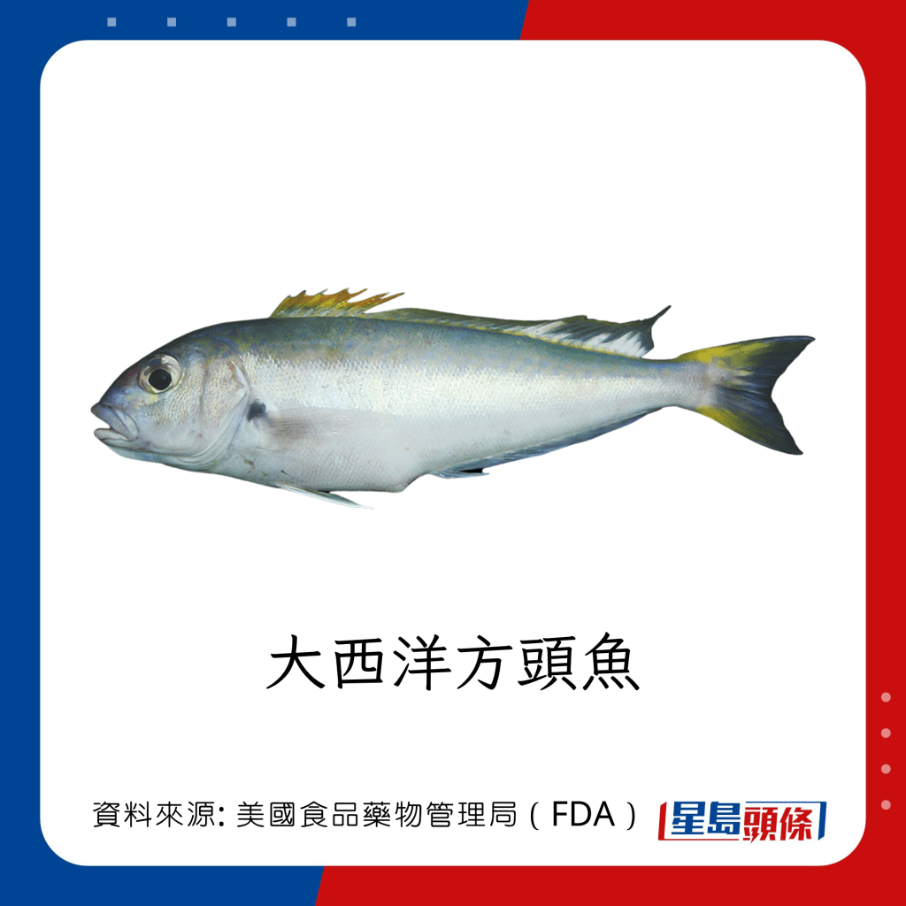 魚類水銀｜水銀含量中等的魚類：大西洋方頭魚