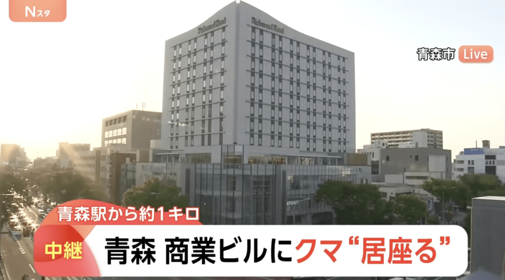 昨日全国多地再传出熊只闯入校园及商业大楼事故，青森市闹市更有熊只闯入办公大楼大堂，最终由猎人开枪击毙。TBS NEWS画面截图（下同）