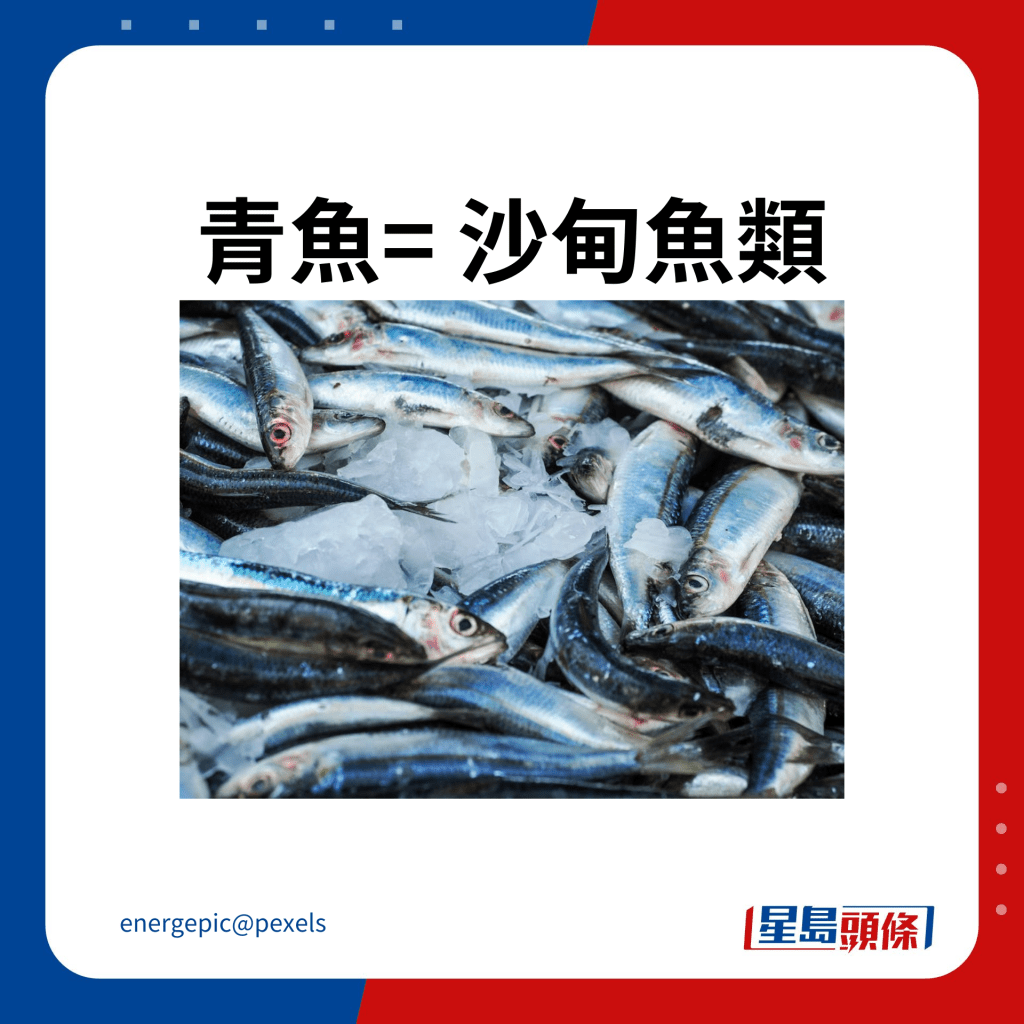 青魚= 沙甸魚類