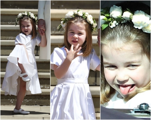 夏洛特小公主萌爆，謀殺不少菲林。