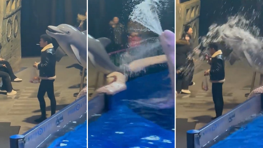 網傳影片見白鯨噴水澆熄男子口中的香煙。