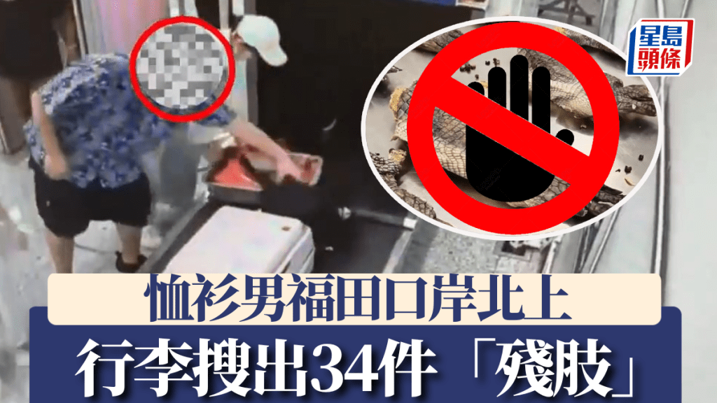 旅客經福田口岸北上時,被發現行李內藏2公斤暹羅鱷製品。