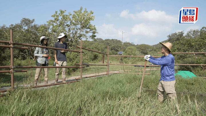植物、人類與大自然：環環緊扣的生態系統 (香港電台提供)