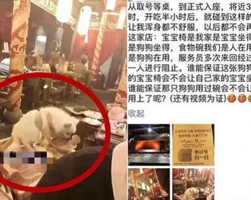 一間火鍋店有小狗舔著碗中的食物，但沒有侍應阻止。 網上圖片