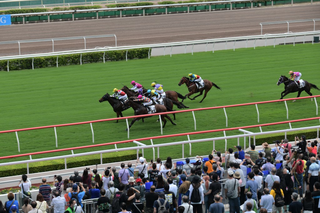  有指有线集团正部署进攻赛马直播节目。资料图片