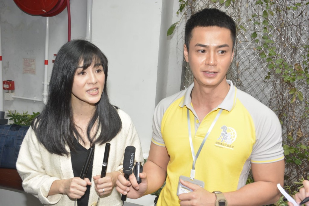 楊采妮、羅仲謙