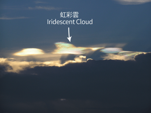 「呈現彩色的雲被稱為『虹彩雲』。它是一種特 殊光學現象，當陽光穿過雲中大小均勻的微細水 滴或冰晶後，產生衍射（又名「『繞射』）作用 ，在雲塊浮現出柔和生動的色彩，這通常見於太 陽位於高層雲或高積雲附近時。若光線的衍射發 生在較大範圍的雲層上，則會出現日華」。天文台官網截圖（攝：伍德良）