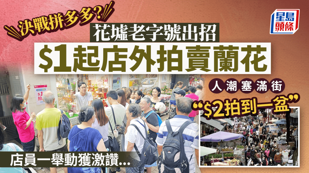 太子花墟搞拍賣谷客！$1起蘭花、盆栽 市民低價尋寶：好氣氛！ 店員一舉動獲激讚