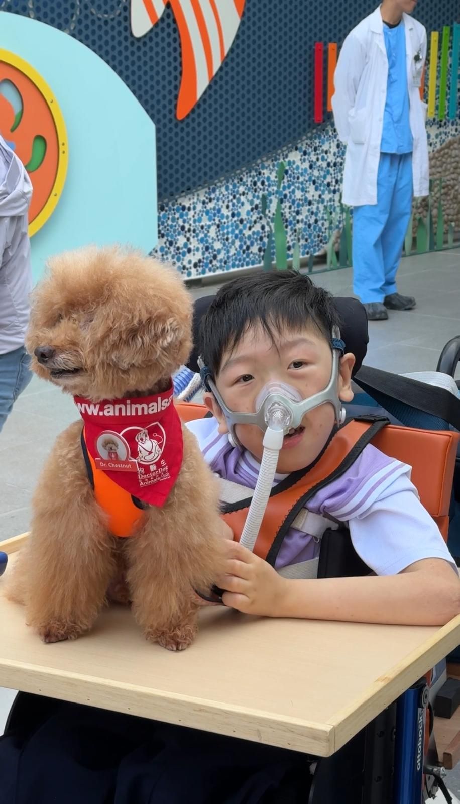儿童病人梁真诚与狗医生Daisy。