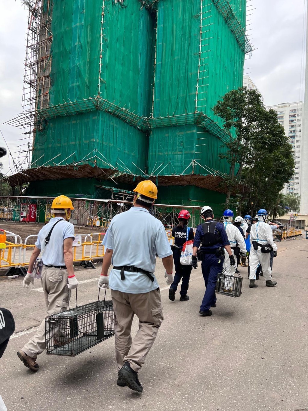 聖誕前夕愛協獲批在宏仁閣擺放少量捕貓籠及攝錄機。愛護動物協會提供