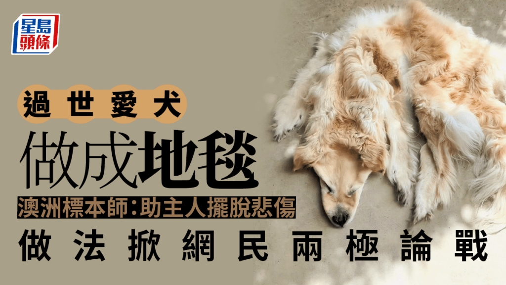 澳洲家庭將過世愛犬做成地毯掀網論戰。