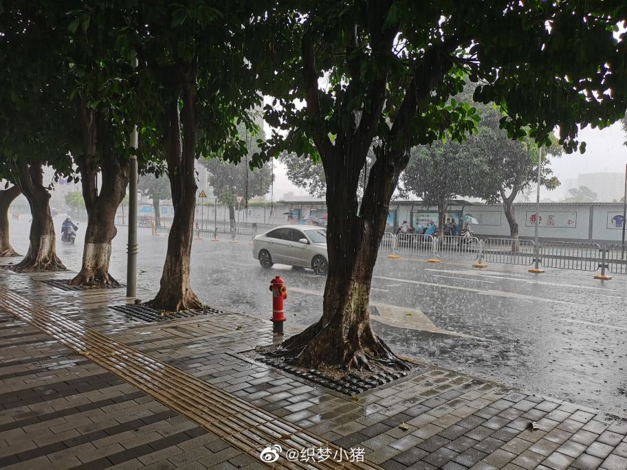 深圳横风横雨。